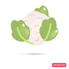 Cauliflower color flat icon