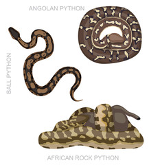 Fototapeta premium Snake African Python Set Cartoon Vector Illustration