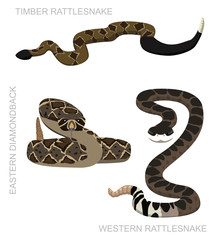 Naklejka premium Snake Rattlesnake Set Cartoon Vector Illustration
