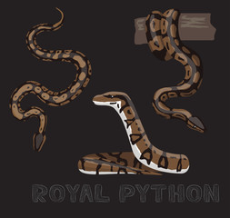 Fototapeta premium Wąż Royal Python ilustracja kreskówka wektor