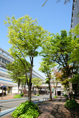 Obraz premium 小倉駅北口（福岡県北九州市）