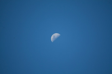 Half moon