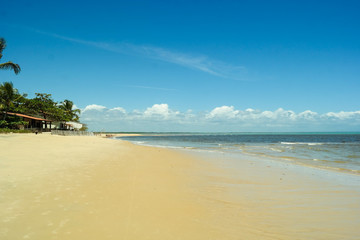 Sea, sand, beach and tropical landscape - Mar, areia, praia e paisagem tropical (Bahia - Brazil)