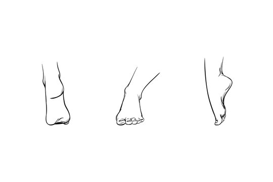 Set of feet in different angles, parts of a human body, lines and strokes sketch drawn. Icons of legs view straight, rear, side. Image of foot care or part for illustration, vector