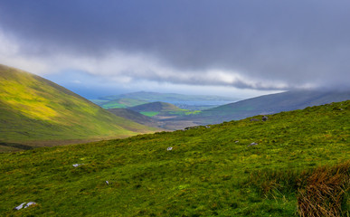 Naklejka premium The green grass hills of Ireland - beautiful landscape