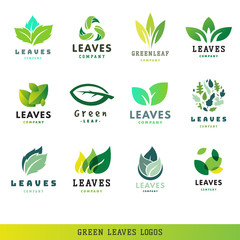 Green leaf eco design friendly nature elegance symbol and natural element ecology organic vector illustration.