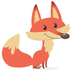 Cartoon fox character. Vector illustration of fox isolated