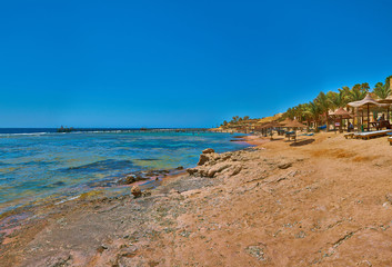 Fototapeta na wymiar Sea cliff with umbrellas, deep blue sea, palm trees, foliage and clear blue sky 