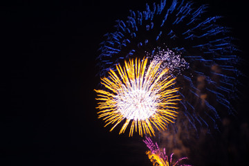 Firework Celebration