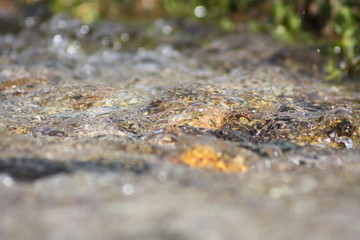 Water