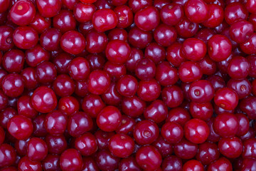 Red cherries background, close up