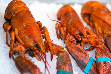 Boiled crayfish on ice .Copy space.Snack for beer