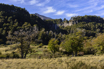 Lanin National Park, Patagonia, Argentina