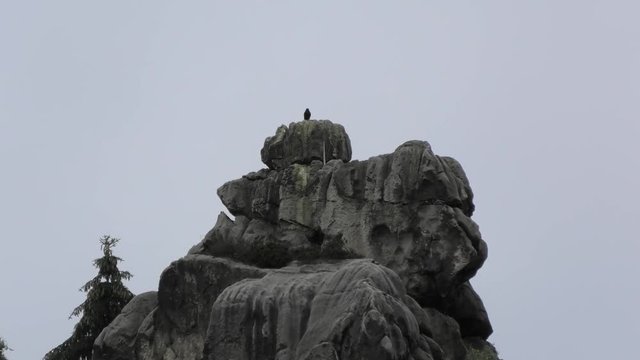 Externstein mit Rabe,germanische Kultst&auml;tte Juni 2018