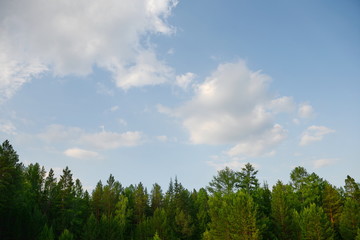 Beautiful sky over the Siberian taiga