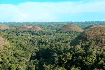 Fototapeta na wymiar Bohol Chocolate Mountains