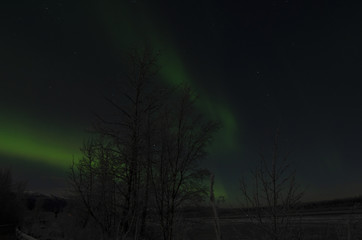 Naklejka premium Aurora 189