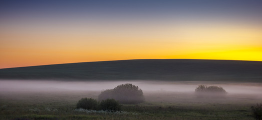 Sunrise over the field covered with fog.