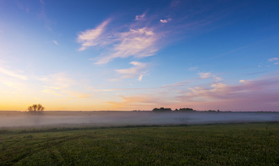 Fototapeta na wymiar Sunrise over the field covered with fog.