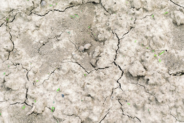 dry cracked ground texture