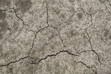 dry cracked ground texture