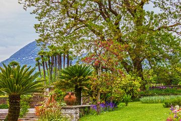 Fototapeta na wymiar Maggiore lake, Villa Taranto park, Italy, Lombardy, Stresa