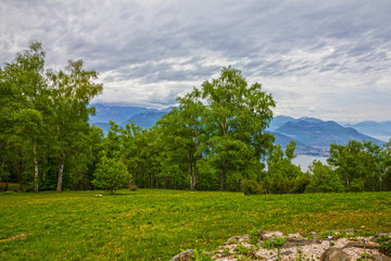 Green shore of Maggiore lake, Stresa, Lombardy, Italy