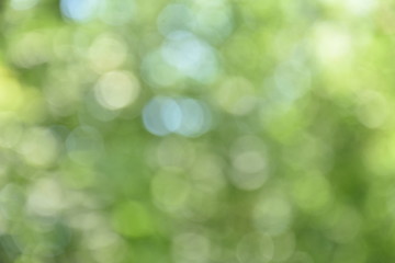 Obraz premium nature