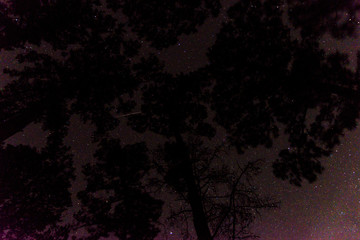 LostPinesTexasNightSky17