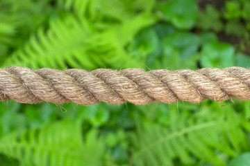 Horizontally stretched thick rope made from natural fiber close-up against a background of green plants