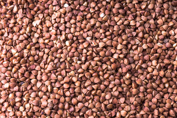 Background of buckwheat. Buckwheat texture.
