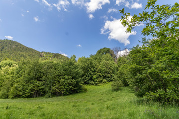 Fototapeta na wymiar Landscape with mountain grass and sky