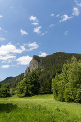 Fototapeta na wymiar Landscape with mountain grass and sky
