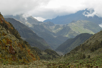 Fototapeta na wymiar Bujuku Valley with a Mountain Background in the Rwenzori Mountains National Park, Uganda