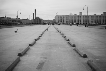 Obraz premium Parking Lot Symmetry