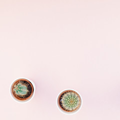 Top view of small pots with decorative cactuses