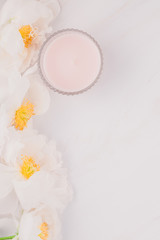 White peony flowers on marble background