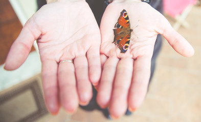 Woman hands with butterfly on the fingers
