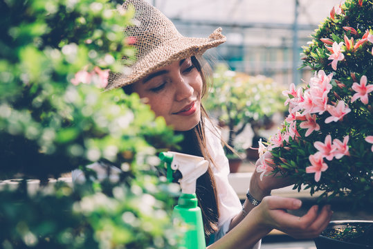Bonsai greenhouse center. rows with small trees, woman working and taking care of the plants