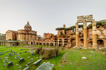 Fototapeta premium Roman Forum in Rome, Italy. Rome Forum at summer day in early morning