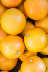 LES PRODUITS DU JARDIN @ Maché gare de Montpellier © Brice BOURGOIS