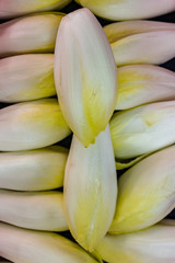 les produits du jardin @ march&eacute; gare de Montpellier 2018-06-21
