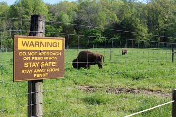 The warning sign about the bison in the pasture. © Al