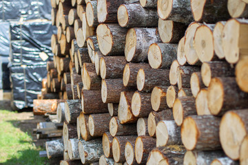 Many thick huge logs