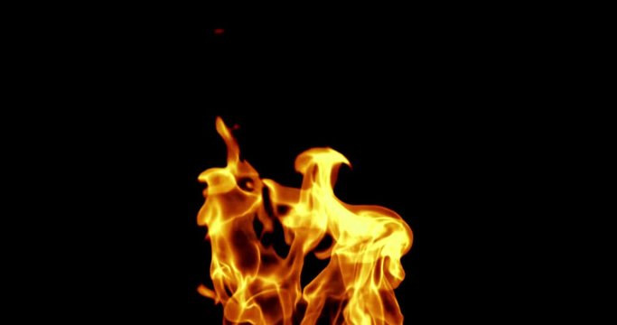 realistic fire flames burn movement frame on black background, with alpha channel