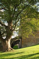 Scottish Castle Ruin Archways