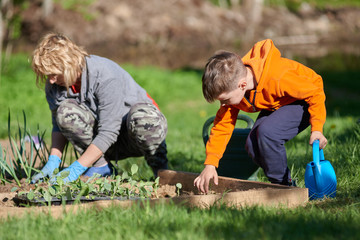 Caucasian mom and son working together planting at kitchen-garden. © Artem