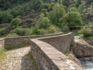 Ponte in valle Bavona Svizzera