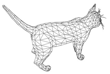 Cat polygonal lines illustration. Abstract vector cat on the white background