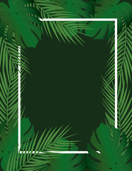 Tropical leaf frame. vector illustration